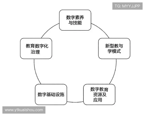 羽毛球战术解析:北京羽毛球队反击体系的策略与实践探讨
